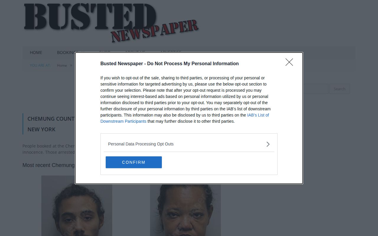 Chemung County third-party arrest archive page at Busted Newspaper