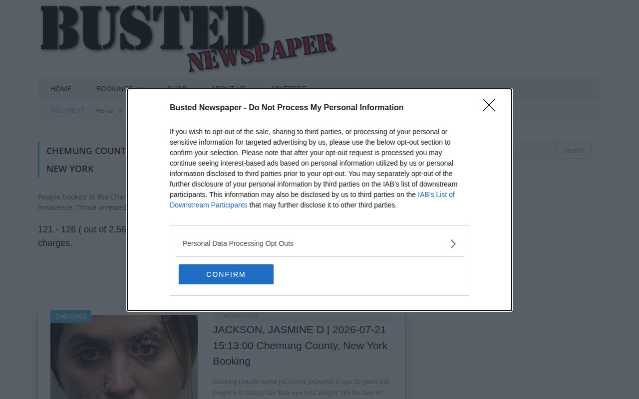 Chemung County older third-party archive pagination at Busted Newspaper